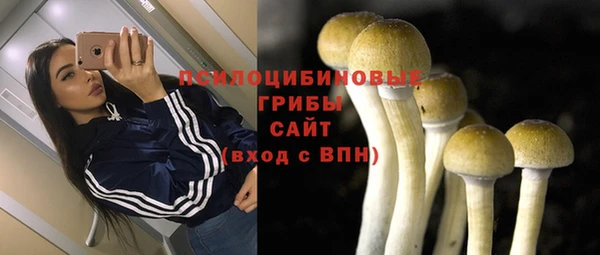 не бодяженный Алзамай