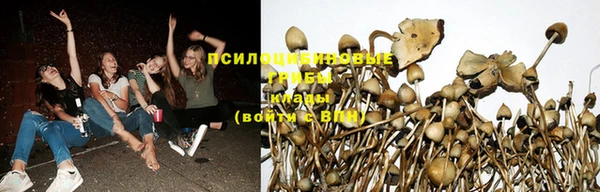 не бодяженный Алзамай