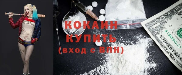 дурь Алексин