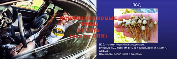 не бодяженный Алзамай