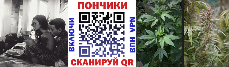 продажа наркотиков Томск ссылка на мегу Шишки марихуана гибрид